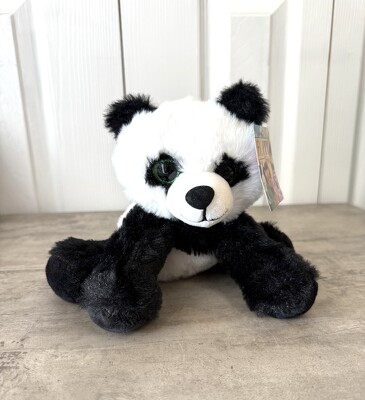 Paul the Panda from Aladdin's Floral in Idaho Falls